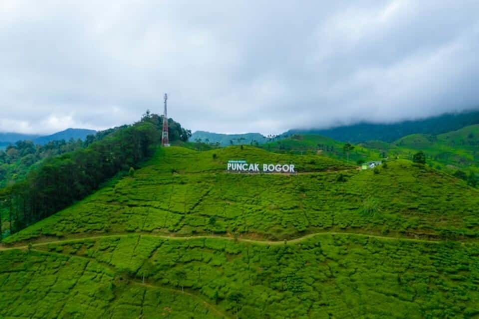 Tempat Wisata Puncak Bogor 2024