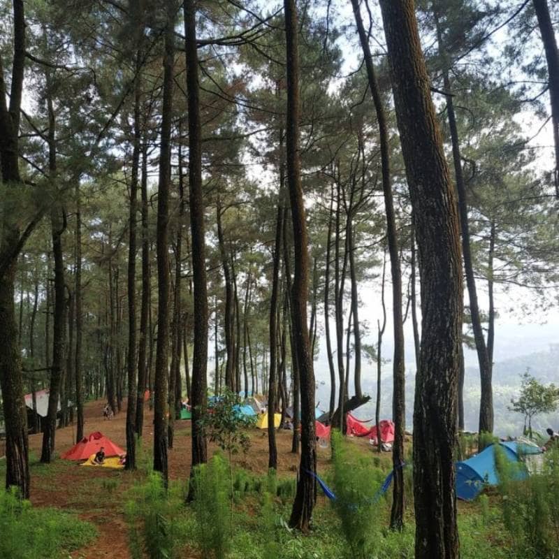 Tempat Camping Bogor 2024