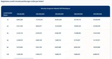 Cara Pinjaman Bank Mandiri 2024: Panduan Lengkap Mendapatkan Dana