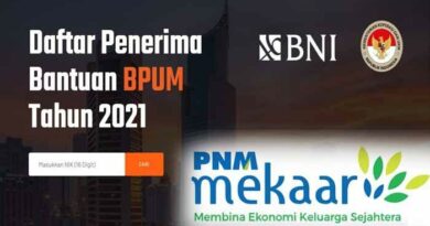 E-Form BNI Co.Id / BPUM Pakai KTP 2024: Akses Dana Usaha Mudah