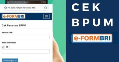 Eform Bri.Co.Id/Bpum Tahap 2 2024: Panduan Lengkap untuk Mendapatkan Bantuan Modal Usaha