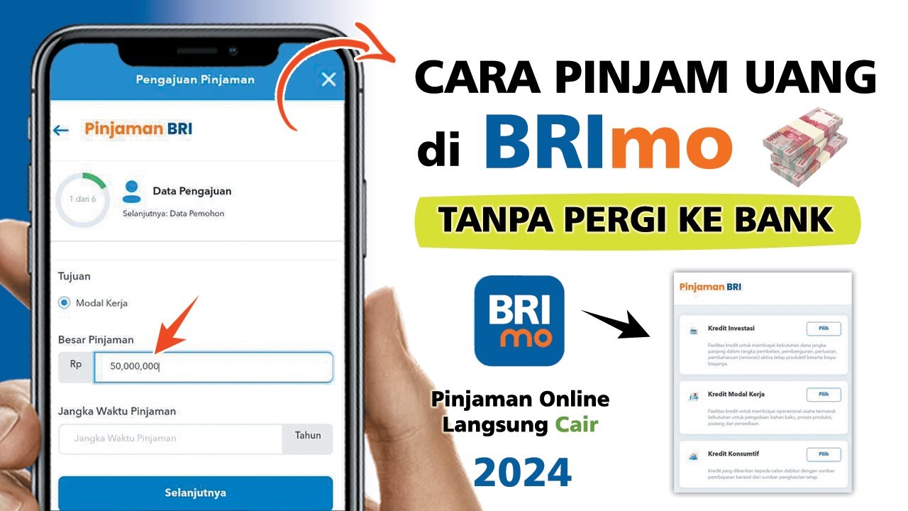 Cek Status Pinjaman Eform Bri 2024 Melalui Website