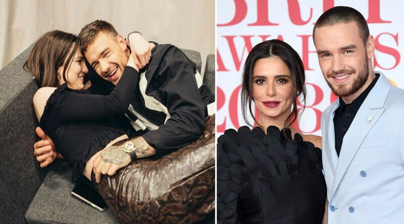 Profil Cheryl Cole, Mantan Kekasih Sekaligus Ibu dari Putra Liam Payne