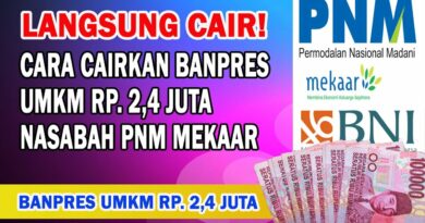 Cara Cek Bantuan PNM Mekar Bank BNI 2024: Panduan Lengkap