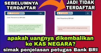 Aplikasi Cepat Meminjam Hari Ini 2024