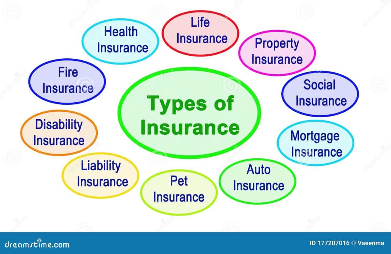 Business insurance 21st grow needs century types every cover protect lawsuits loss against