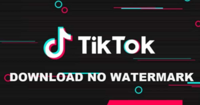 Tiktok Downloader No Watermark 2024: Unduh Video TikTok Tanpa Watermark dengan Mudah