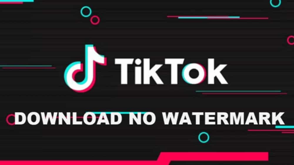 Tiktok Downloader No Watermark 2024