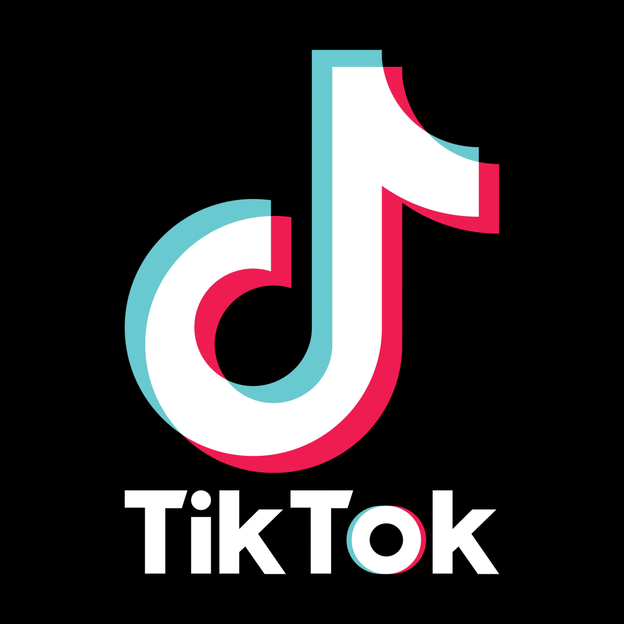 Downloadgram Tik Tok 2024